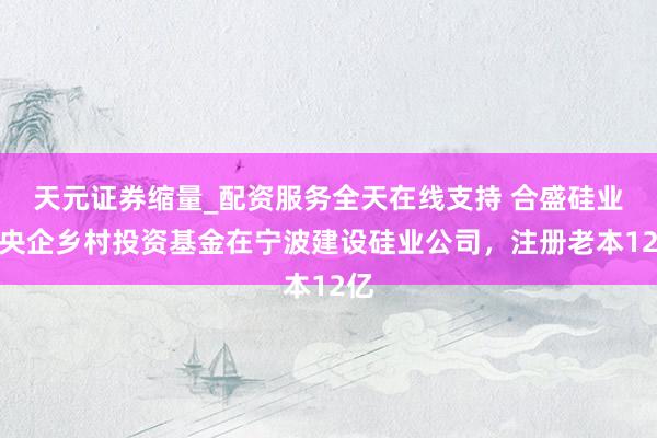 天元证券缩量_配资服务全天在线支持 合盛硅业、央企乡村投资基金在宁波建设硅业公司，注册老本12亿