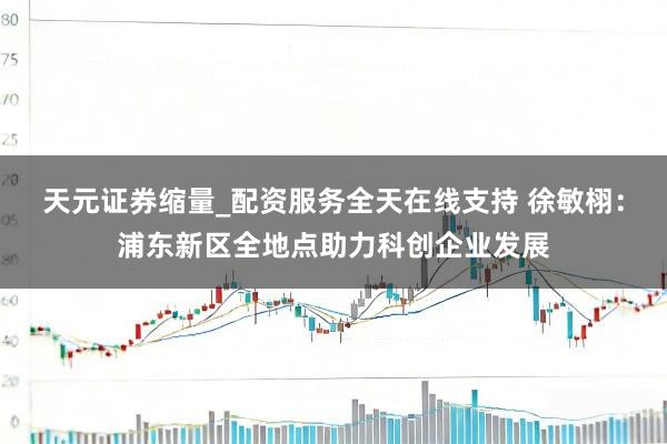 天元证券缩量_配资服务全天在线支持 徐敏栩：浦东新区全地点助力科创企业发展