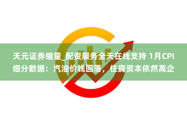 天元证券缩量_配资服务全天在线支持 1月CPI细分数据:汽油价钱回落,住房资本依然高企
